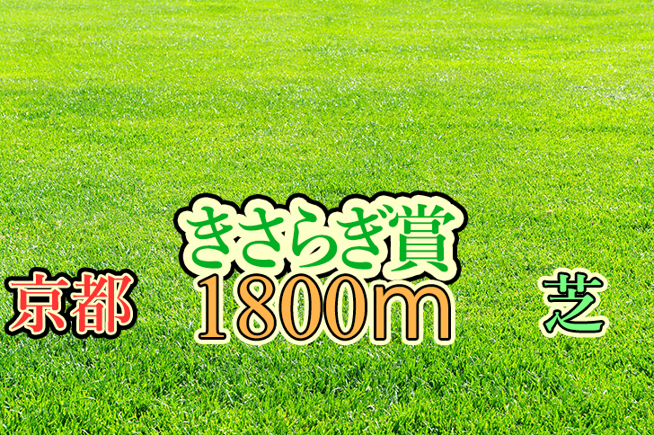 きさらぎ賞　ブログ